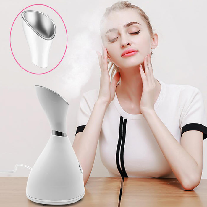Ionic Face Steamer Cleanser